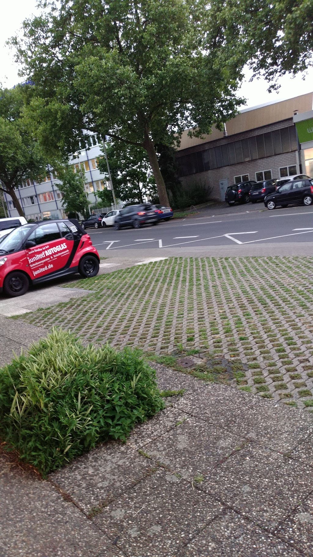 junited AUTOGLAS Bonn