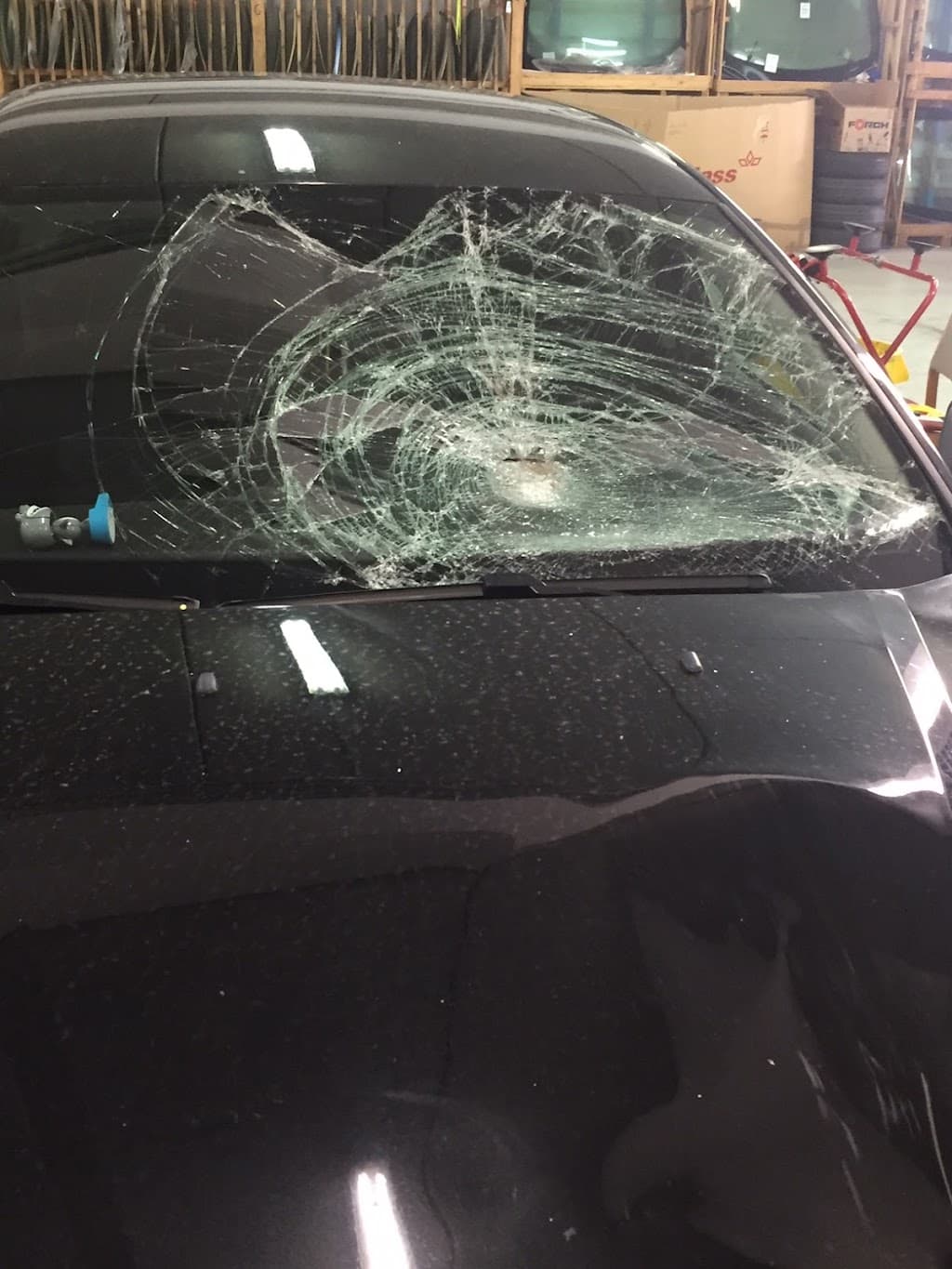 junited AUTOGLAS Leipzig-Neulindenau