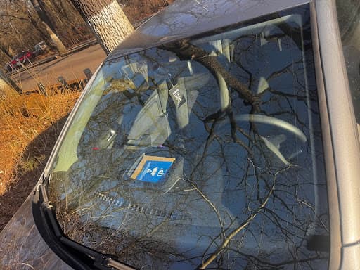 junited AUTOGLAS Berlin-Charlottenburg — Kundenfoto