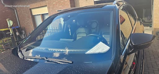 junited AUTOGLAS Magdeburg — Kundenfoto