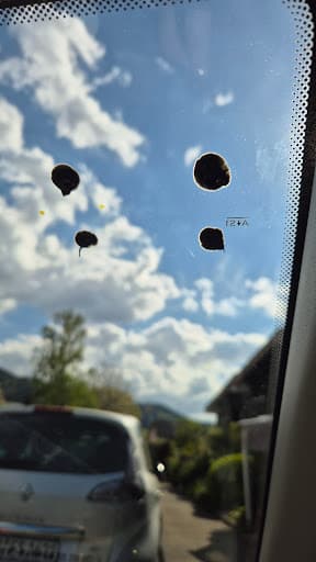 Carglass GmbH Freiburg im Breisgau (Sankt Georgen) — Kundenfoto