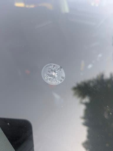 junited AUTOGLAS Leipzig-Neulindenau — Kundenfoto